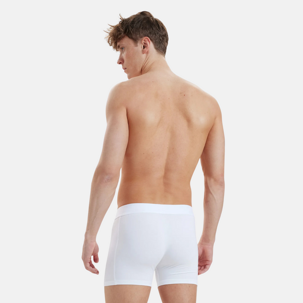 3 pairs of white bamboo underwear