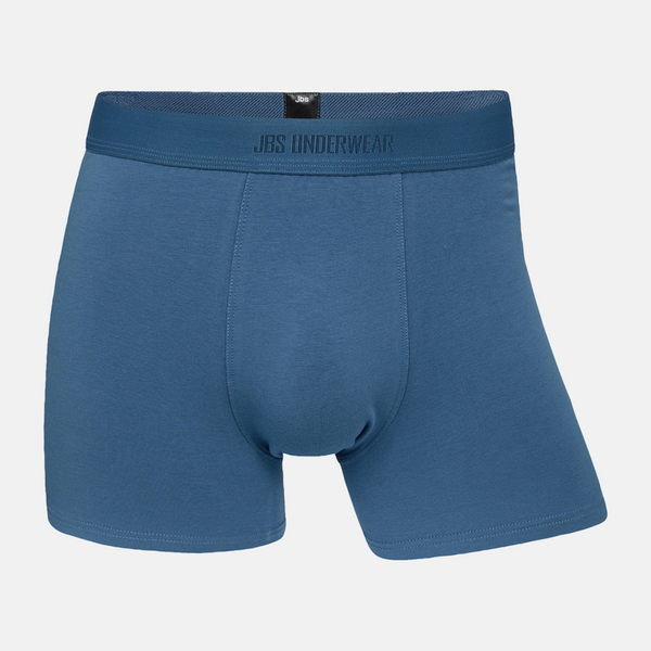 5 pairs of bamboo underwear blue/gray mix