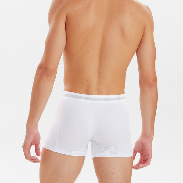 3 pairs of bamboo underwear white