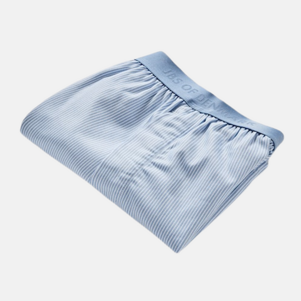 2 pairs of light blue striped bamboo boxer shorts
